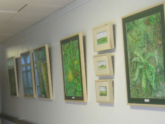 ‘Head in the Hedgerow’, Roscommon University Hospital’s inaugural art exhibition.