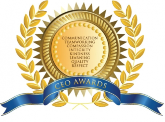 Saolta CEO Awards 2015 Logo