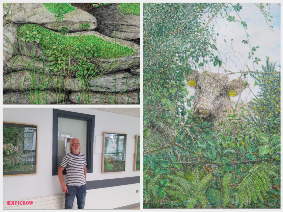'Head in the Hedgerow’ opened at University Hospital Galway 