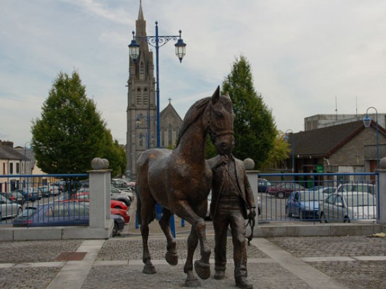 Horse outside Ballinasloe Cathedral Picture of a horse outside Ballinasloe Cathedral